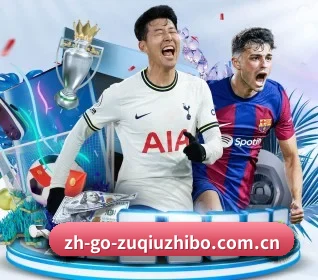 五大服务分区,信息按项目分类